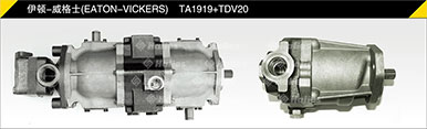 伊顿-威格士TA1919+TDV20